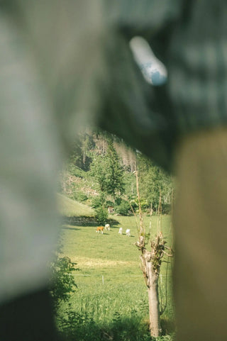 Leftbrain Sustainability